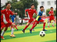 阿尔巴尼亚VS以色列直播_阿尔巴尼亚VS以色列免费直播在线直播